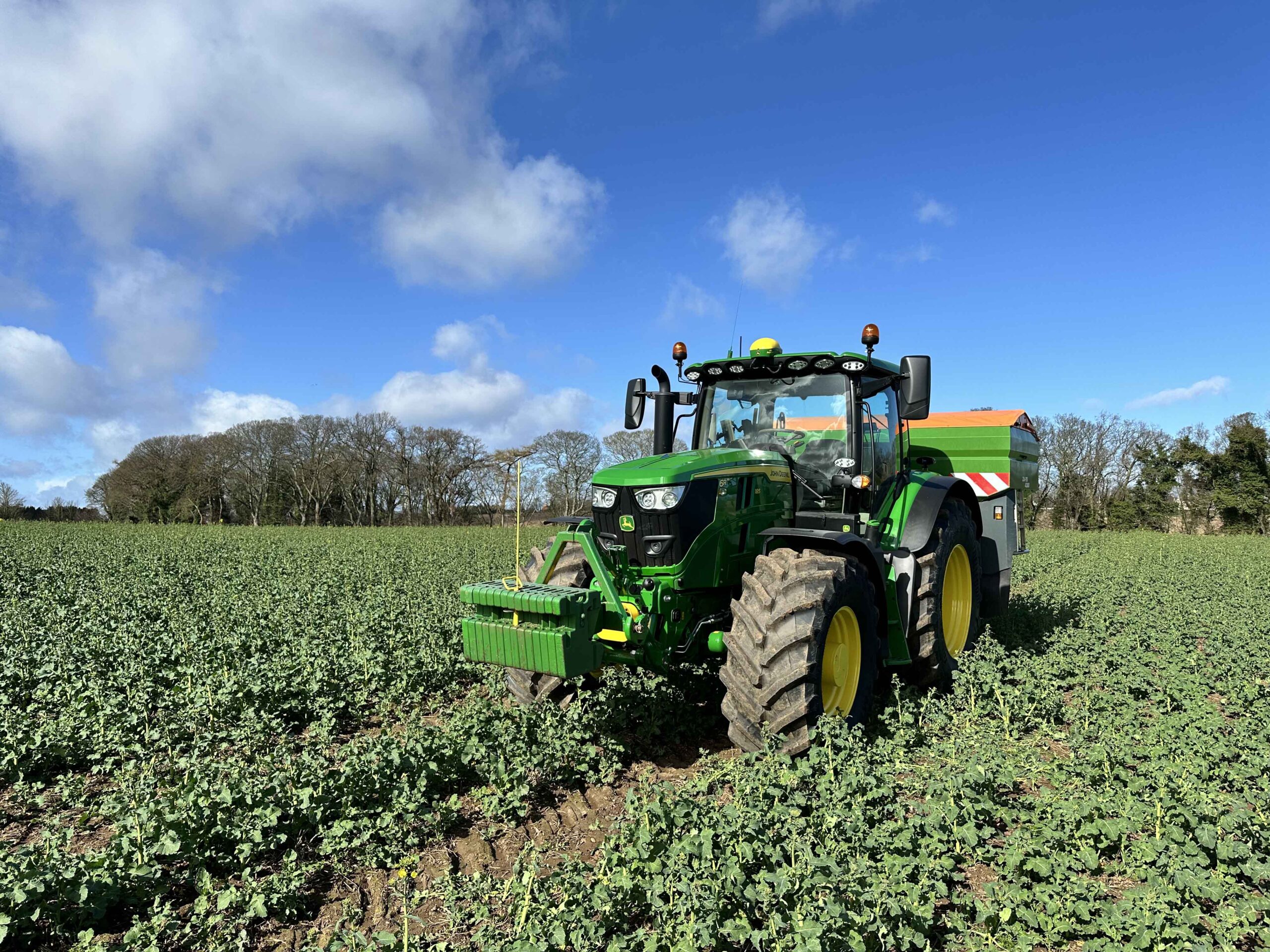 A green tractor sits in a rapeseed field