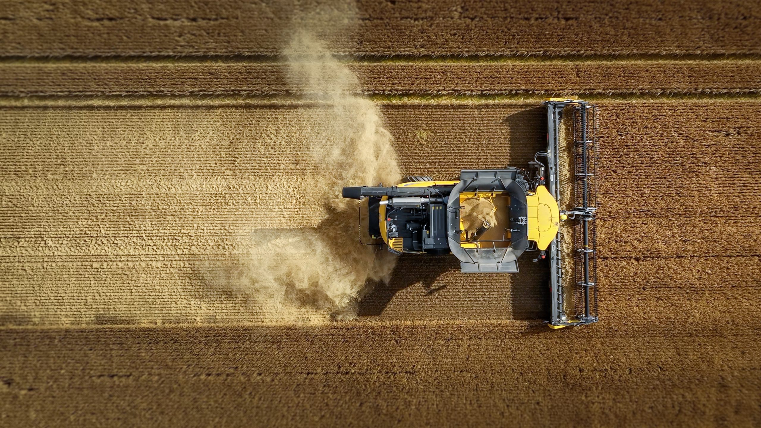 Picture of combine harvester in field