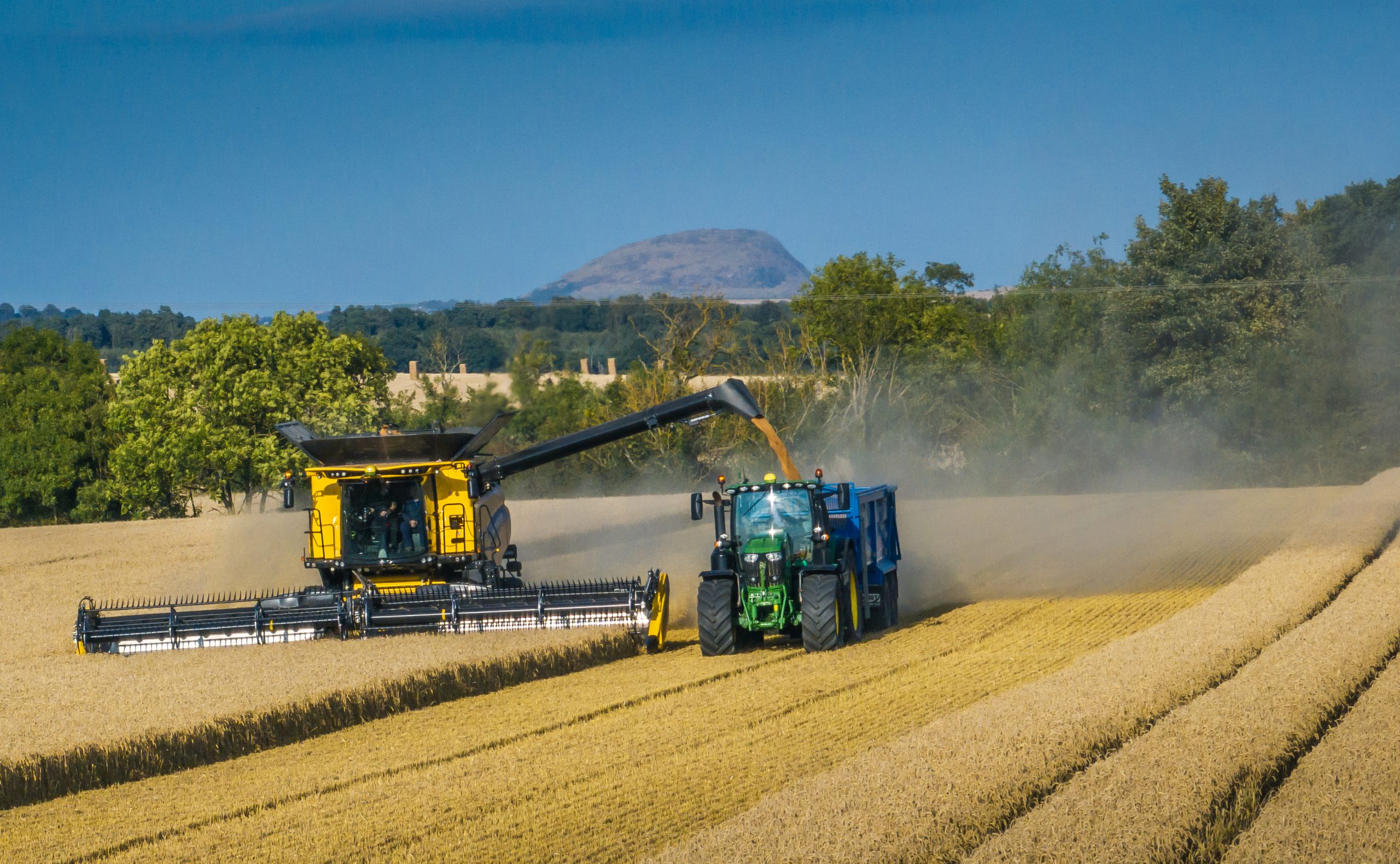 A combine harvester in field